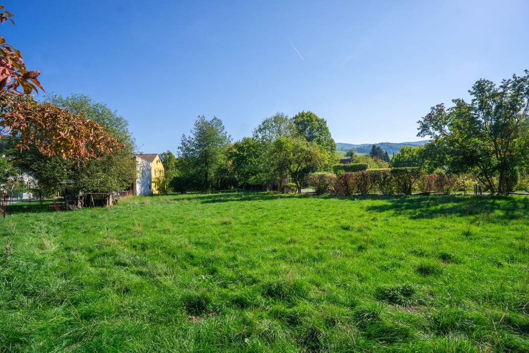 Großzügig bauen, naturnah leben – 1.238 m² ebener Baugrund im Dorfzentrum von Laaben