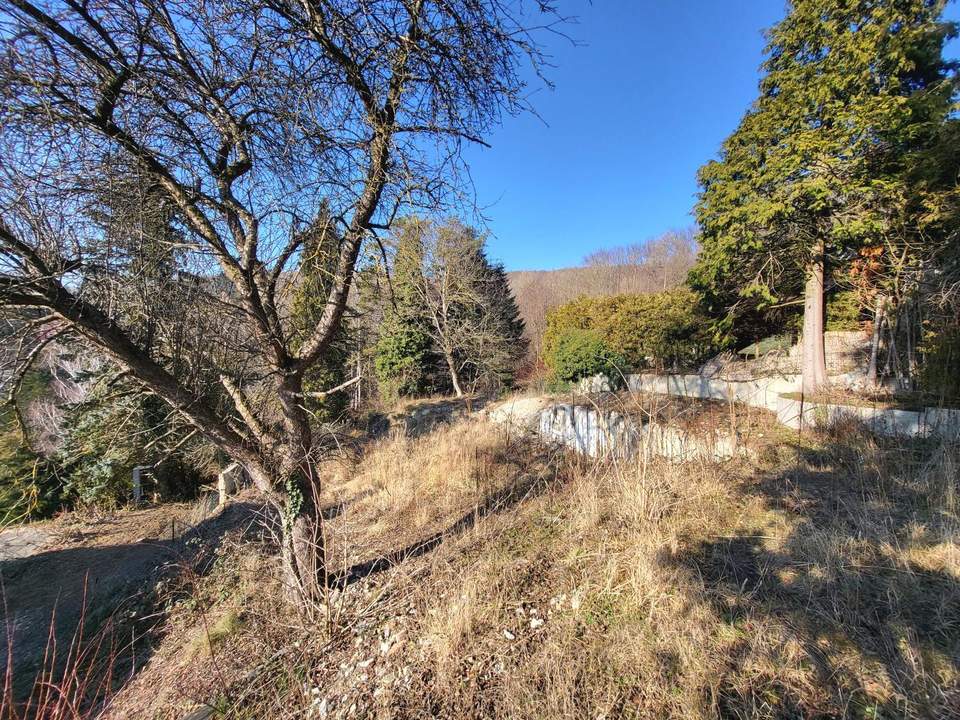 AUFGESCHLOSSENER BAUGRUND IN RUHIGER WALDRANDLAGE