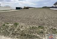 PREISGESENKT: NEUER PREIS! Baugründe in bester Lage!