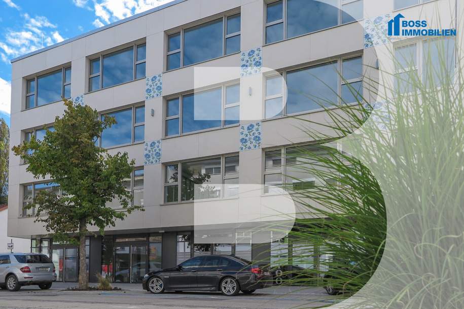 Lebensraum Arbeit - Graumann-Lofts 3.3, Gewerbeobjekt-miete, 595,00,€, 4050 Linz-Land