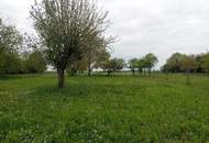 Liegenschaft in Ungarn für Tierliebhaber