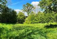 Baugrundstück mit Ausblick und viel Platz