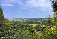 Repräsentatives Haus in Kirchschlag Linz-Nähe, es vereint Harmonie und Individualität
