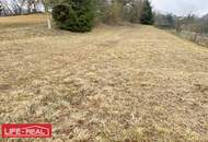Vielseitiges Grundstück in wachstumsstarker Region