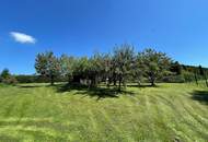 VERKAUFT - Sonniger Baugrund in Eugendorf (Baugrund I)