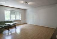 3 Wohneinheiten und ein Geschäftslokal mit vielen Lagerräumen auf 4.499m² Grund im Bauland Mischgebiet!
