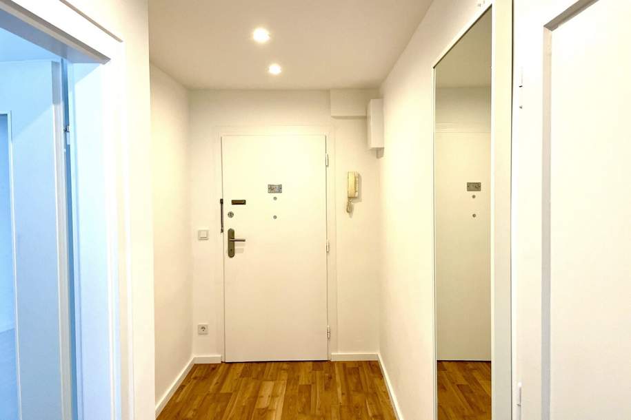 Einzimmerwohnung beim Schwedenplatz, Wohnung-miete, 1.311,91,€, 1010 Wien 1., Innere Stadt