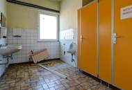 GIGANTISCH gesucht? HIER RICHTIG