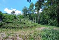 WOHNEN IM NATURPARADIES AM WALDRAND MIT MÖGLICHKEIT AUF ZWEI WOHNEINHEITEN - BESTE FERIEN- ODER ZWEITWOHNSITZEIGNUNG MIT KLEINEM BACH, OBSTBÄUMEN &amp; WALD - NICHT VOM HOCHWASSER BETROFFEN