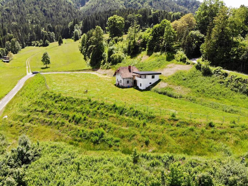 Traumhaftes Grundstück in erhöhter Lage am Waldrand in Krieglach