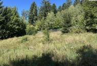 Ruhig gelegenes Einfamilienhaus in Mönichkirchen mit großem Grundstück