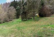 Baugrundstück mit alten Holzblockhütten