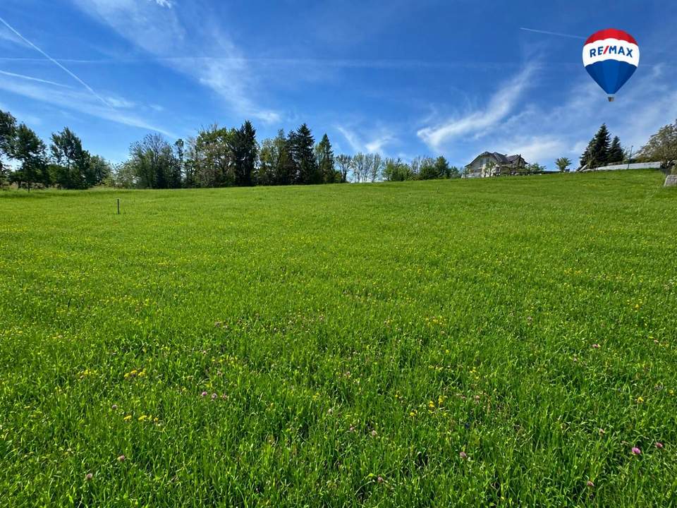 TOP Baugrundstück am Aschacher Sommerberg – ohne Bauzwang