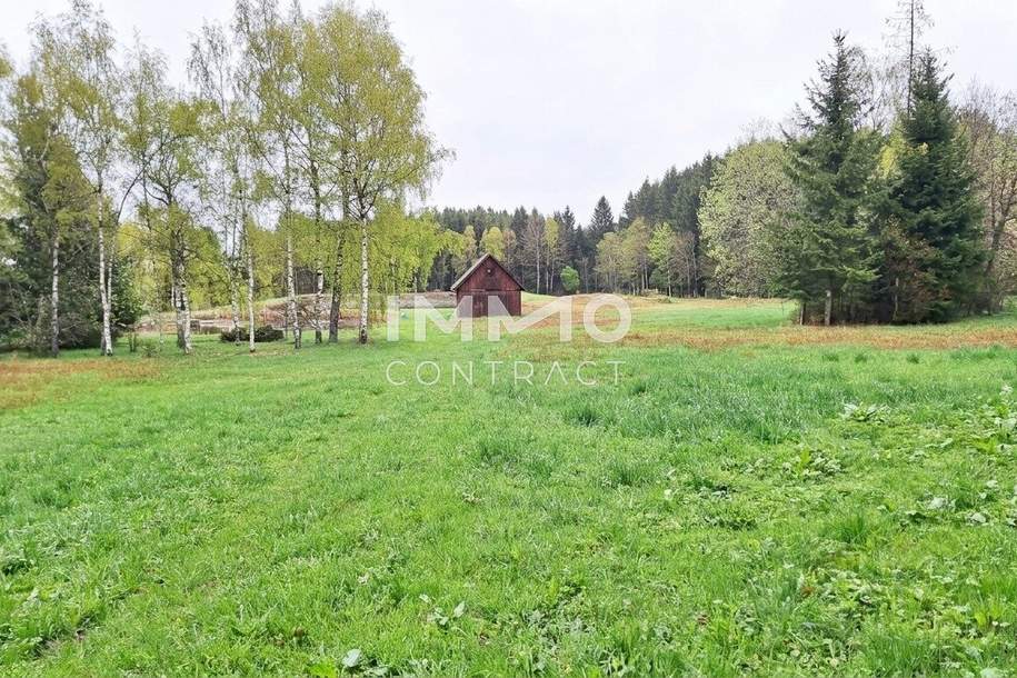 Großes Grundstück mit Fischteich und Badeteich, Erholungsanlage, Freizeitparadies mit viel Potenzial, Grund und Boden-kauf, 280.000,€, 3632 Zwettl