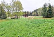 Großes Grundstück mit Fischteich und Badeteich, Erholungsanlage, Freizeitparadies mit viel Potenzial