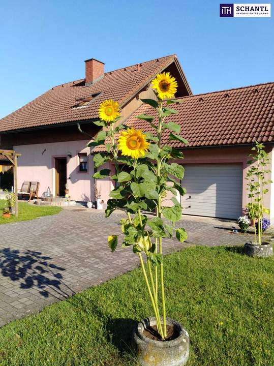 Ihr neues Zuhause in Gralla – Leicht sanierungsbedürftiges Einfamilienhaus mit viel Platz, Ruhe und Möglichkeiten