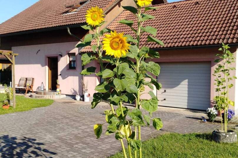Ihr neues Zuhause in Gralla – Leicht sanierungsbedürftiges Einfamilienhaus mit viel Platz, Ruhe und Möglichkeiten, Haus-kauf, 399.000,€, 8430 Leibnitz