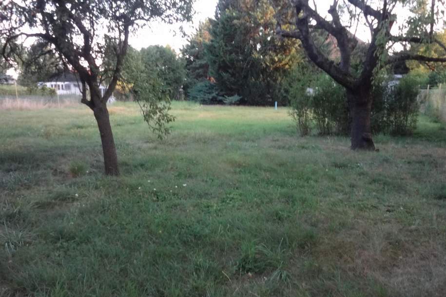 Gelegenheit mit Altbestand, Grundstück mit reduziertem Fixpreis!!!, Grund und Boden-kauf, 800.000,€, 1220 Wien 22., Donaustadt