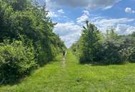 Modernes Reihenhaus mit hochwertiger Ausstattung in ruhiger Siedlung