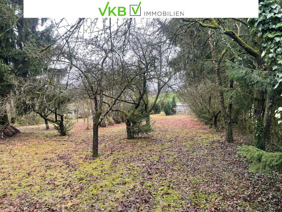 Großzügiges Grundstück in Spattenberg – Gemeinde Alberndorf in der Riedmark