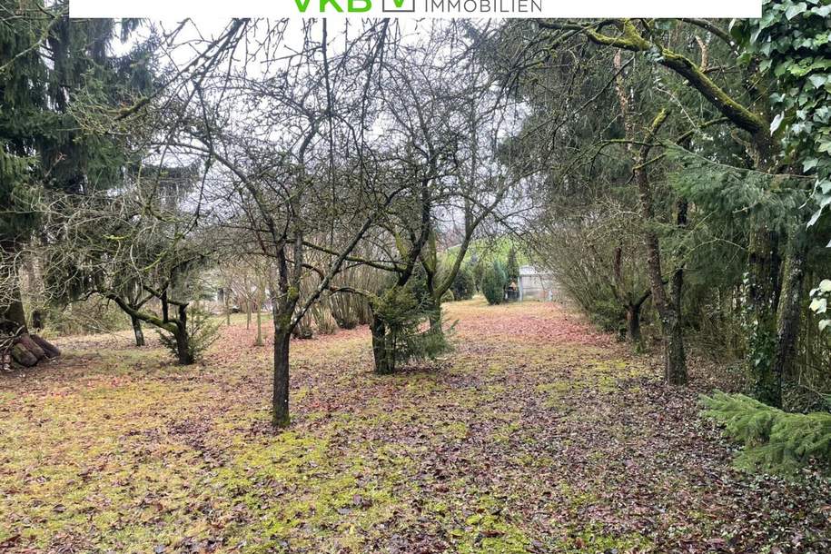 Großzügiges Grundstück in Spattenberg – Gemeinde Alberndorf in der Riedmark, Grund und Boden-kauf, 217.000,€, 4211 Urfahr-Umgebung