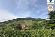 Charmantes Wohnhaus mit Garten, Scheune und traumhaftem Blick ins Grüne