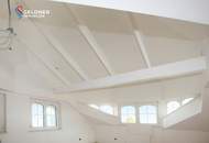 Außergewöhnliches Mehrfamilienhaus mit 331 m² WFL, Balkon, Loggia & 4 Garagen, Pool und Gartenhaus
