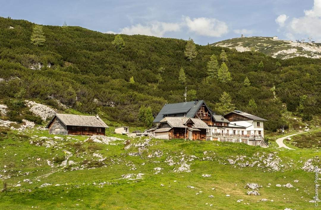 Berghütte/Alm in traumhafter Alleinlage mit Blick auf das atemberaubende Dachsteinmassiv