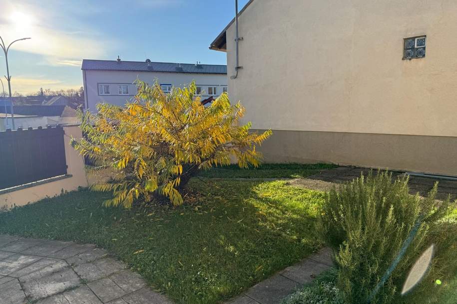 "Mini Garten sucht neue liebevolle Pfleger", Haus-kauf, 185.000,€, 2034 Mistelbach