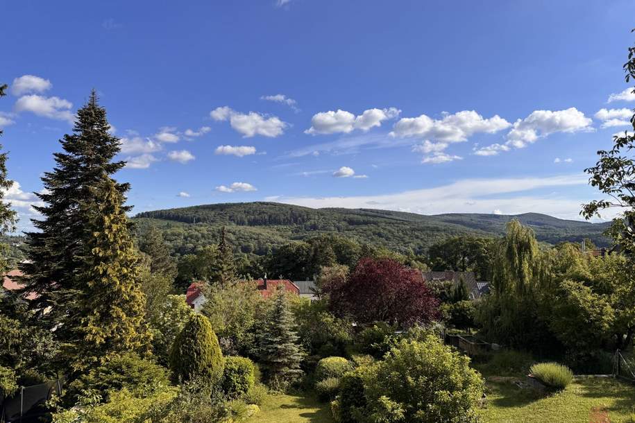 Ihr Logenplatz mit WIENERWALDBLICK - EINFAMILIENHAUS am Wolfersberg, Haus-kauf, 869.000,€, 1140 Wien 14., Penzing