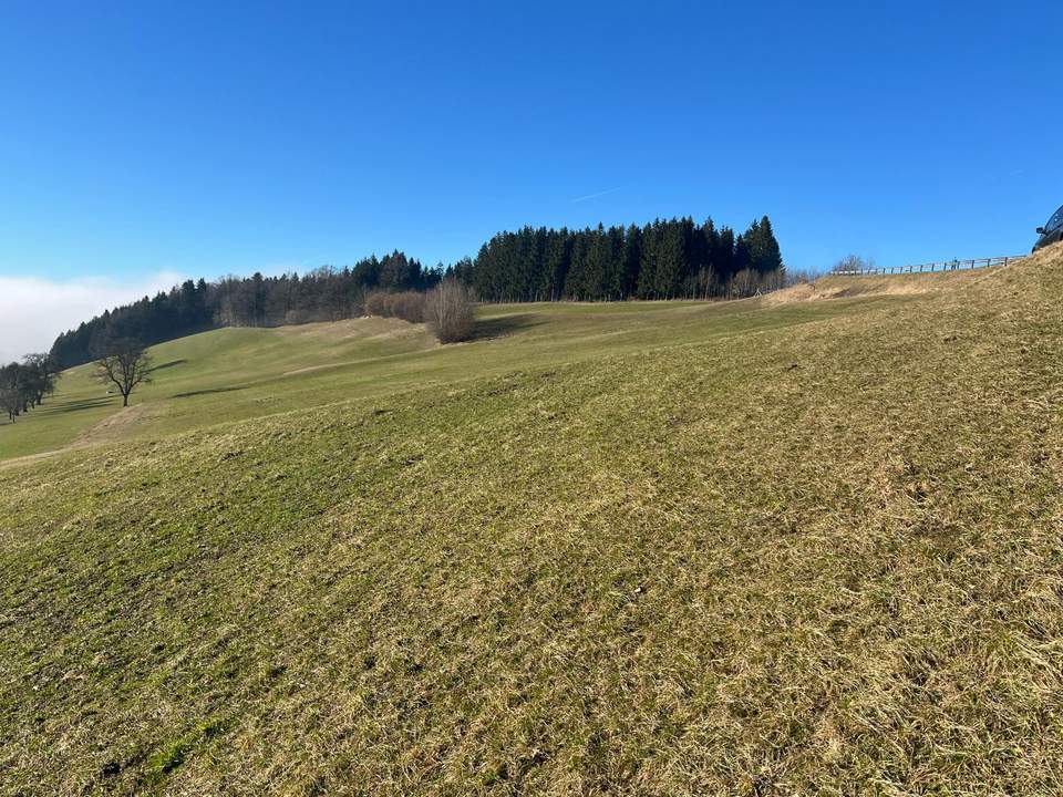 Landwirtschaftliche Fläche