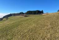 Landwirtschaftliche Fläche