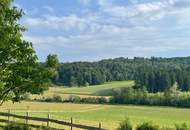 Sonnige Alleinlage im Naturpark Südsteiermark (Provisionsfrei)