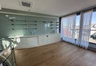 Tolle 3 Zimmer Dachgeschosswohnung mit Blick über Wien!