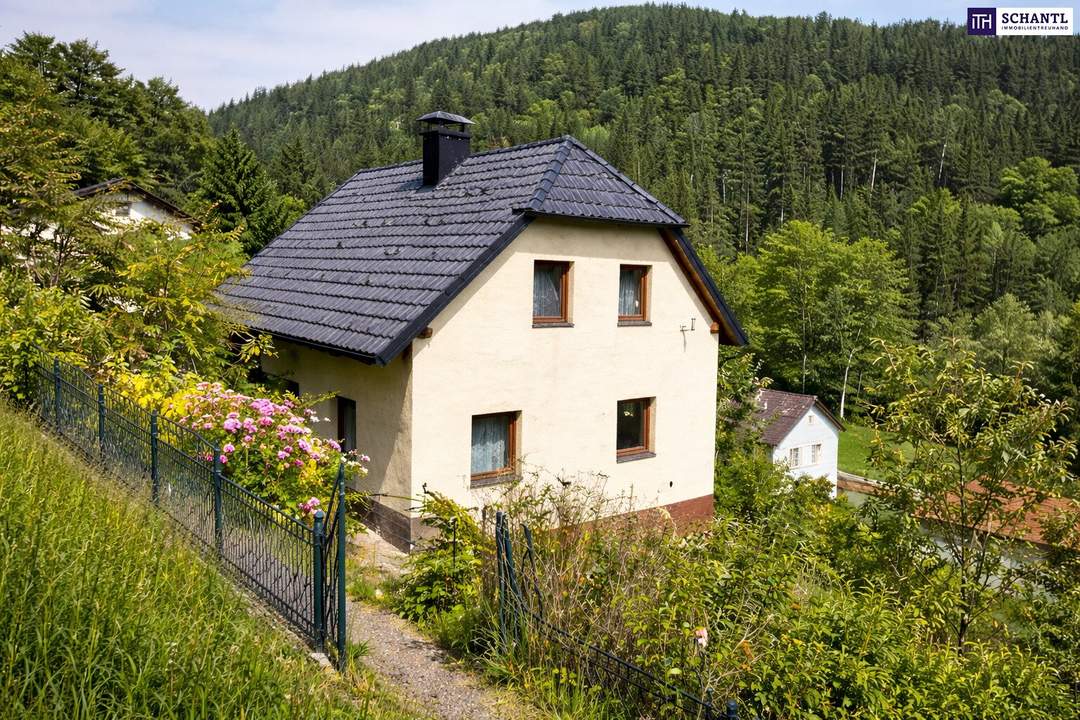 SANIERUNGS-SCHNÄPPCHEN mit neuem Dach &amp; neuer Pelletheizung – Echte Gelegenheit am Hochwechsel – ein Haus voller Möglichkeiten