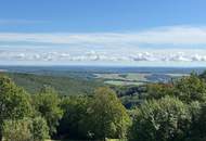 Wildromantisches altes Bauernhaus mit toller Fernsicht!
