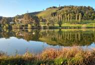Traumhaftes Ferienhaus am Sulmsee