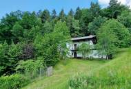 Ruhiges Wohnhaus mit eigenem Wald und Obstgarten!