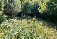 "Rarität in Mauerbach"
