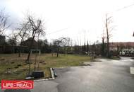 Erstbezug für charmanten Büro- / Schulungs- / Ausstellungsraum in traumhafter, ländlicher Umgebung