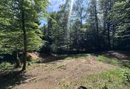 Naturnah wohnen in der Südsteiermark