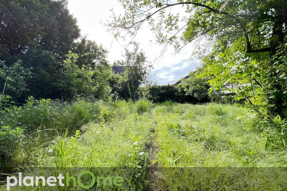 Einmalige Gelegenheit! Ihr Grundstück in Mühlwasser-Nähe mit Altbestand!, Grund und Boden-kauf, 685.000,€, 1220 Wien 22., Donaustadt
