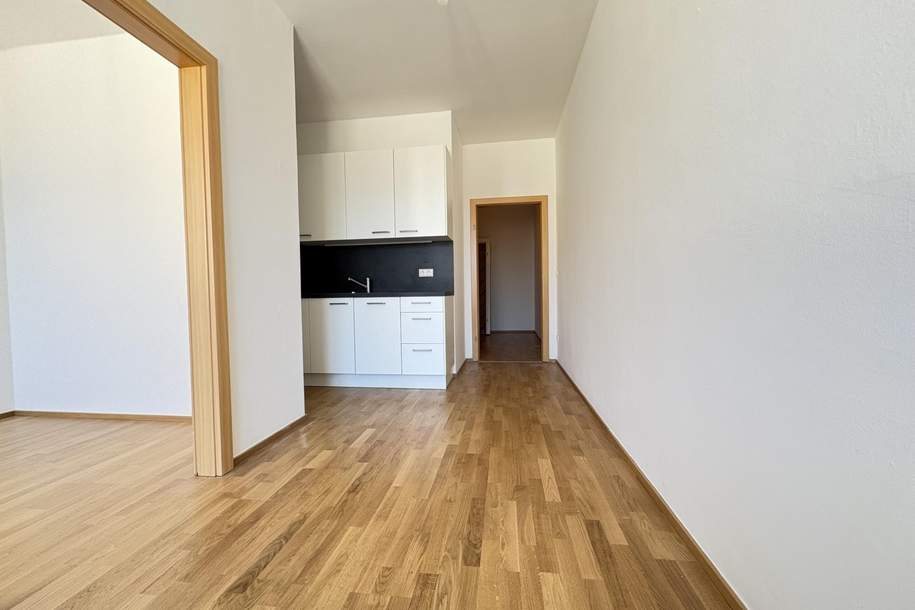 Ideal aufgeteilte 3 Zimmerwohnung mit neu eingebauter Küche, Wohnung-miete, 813,82,€, 4020 Linz(Stadt)