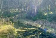 Autarkes Haus auf ca. 7670 m² mit Wald und Fischteich!