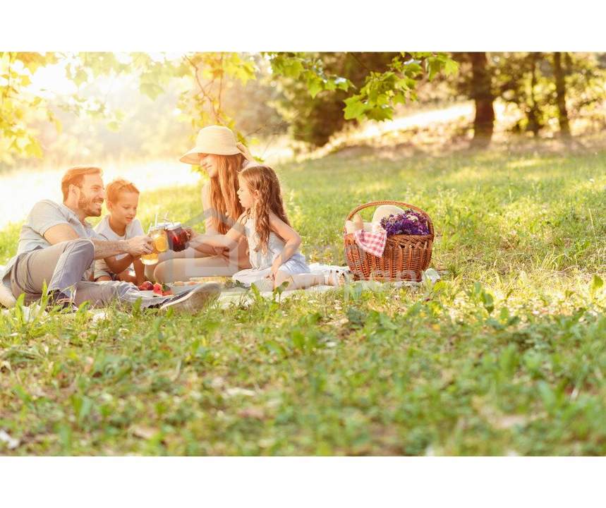 Attraktives Baugrundstück mit Top Preis-Leistung in Fernitz-Mellach