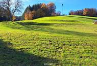 Baugrund ohne Bauzwang mit Teilungsoption