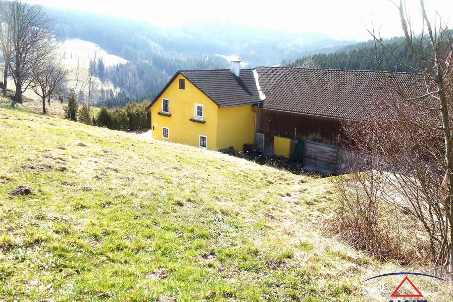 Alter Bauernhof in ländlicher, charmanter und ruhiger Lage zu vermieten!, Haus-miete, 500,00,€, 3263 Scheibbs