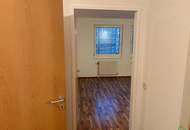 PÄRCHENHIT AM WALDMÜLLERPARK!!