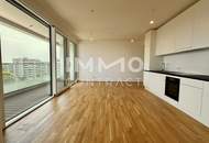 Luxurious 3 room flat with balcony! Danubeview