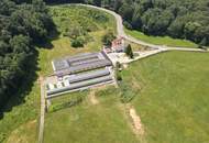 Schlossanwesen mit über 10 ha Grund, mit bestehenden Stallungen, Gehegeflächen und Infrastruktur für Tierhaltung- ideal für Käufer mit Platzbedarf, Tiere und Naturbezug!